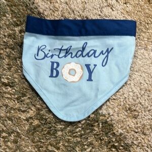 Dog Birthday Blue 'Birthday Boy' Dog Bandana Velcro Closure Donut Accent NWOT